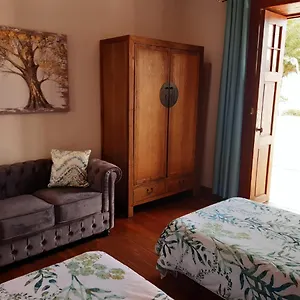 https://casa-rural-los-dragos.in-canary-islands.com